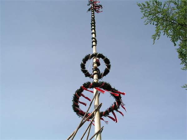 Maibaum